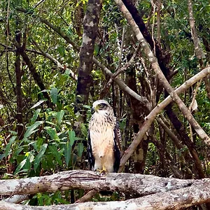 The Sri Lanka