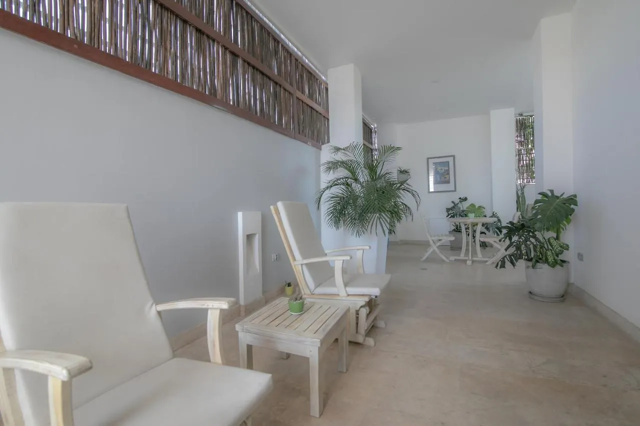 Hotel El Cactus Luxury Apartments In Historic Center Santa Marta