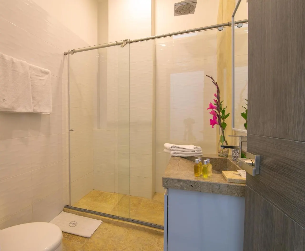 El Cactus Luxury Apartments In Historic Center Santa Marta  Santa Marta (Magdalena)