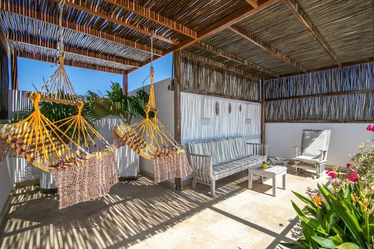 **** Hotel El Cactus Luxury Apartments In Historic Center Santa Marta  Colombia