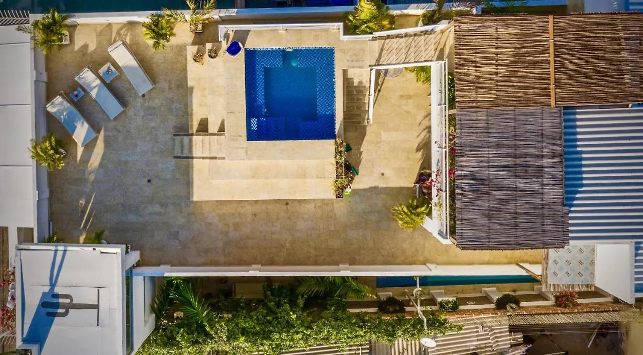 El Cactus Luxury Apartments In Historic Center Santa Marta  Hotel