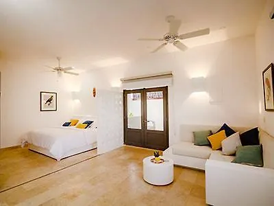 **** Hotel El Cactus Luxury Apartments In Historic Center Santa Marta  Colombia